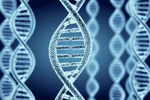 Cơ sở dữ liệu gene vi sinh vật toàn cầu