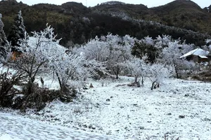 Vùng núi và trung du Bắc bộ có khả năng xảy ra băng giá, mưa tuyết    