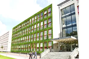 Bê tông giúp rêu mọc