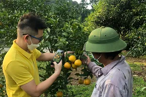 Nhân viên Postmart.vn tư vấn cho bà con nông dân  ở xã Long Tân, huyện Đất Đỏ (Bà Rịa - Vũng Tàu)  