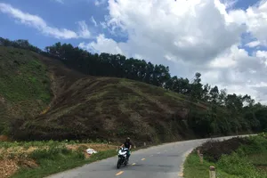 Những vạt rừng ở huyện Kim Bôi (Hòa Bình)  đã và đang bị thu hoạch non