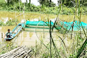 Nông dân huyện Tân Hưng (Long An) chờ lũ về  để khai thác thủy sản mưu sinh. Ảnh: NGỌC PHÚC