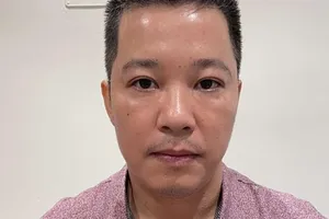 Vụ án “chuyến bay giải cứu”: Bắt Giám đốc Công ty Du lịch Phi Trường