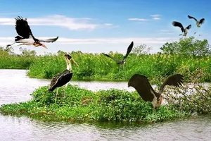 Nguồn sáng phương Nam