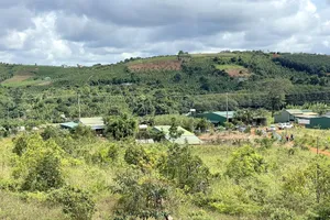 Thu hồi hơn 1/3 diện tích đất bị lấn chiếm tại Cụm công nghiệp Quảng Tâm, Đắk Nông 