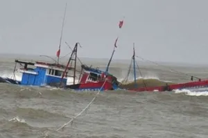 Ảnh Đài KTTV KVNB