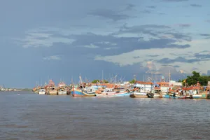 Phương hướng phát triển ngành quan trọng là xây dựng và phát triển tỉnh Cà Mau trở thành một trong những trung tâm kinh tế biển của cả nước