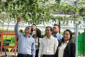 Thành viên đoàn khảo sát tham quan thực tế tại Suối Tiên Farm