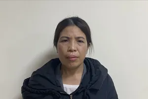 Bắt một phó giám đốc đang bị truy nã về tội lừa đảo