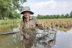 Chậm thích ứng biến đổi khí hậu: Hậu quả nặng nề - Bài 3: Rà soát, điều chỉnh quy hoạch sản xuất