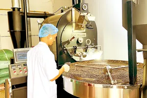 Cà phê “sốt giá”: Nông dân mừng, doanh nghiệp hụt hơi