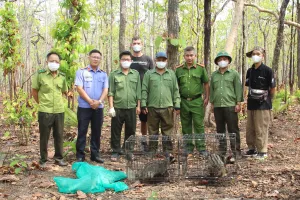 Thả động vật hoang dã về môi trường tự nhiên