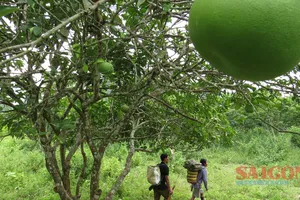 Bên trong 10 hang động nơi người đàn ông 91 tuổi sinh sống