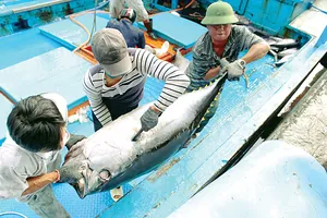 Việt Nam chỉ được Hoa Kỳ công nhận tương đương một phần thủy sản