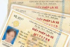 TPHCM phát hiện hơn 1.264  giấy phép lái xe giả. Ảnh minh họa