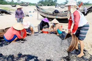  Bài 1: Khi đàn cá trở về