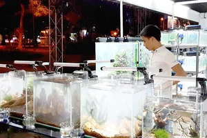 Gian hàng cá cảnh và sinh vật cảnh tại Hội chợ Nông nghiệp công nghệ cao  và công nghiệp thực phẩm lần 6 (Hi-Tech Agro  2017)