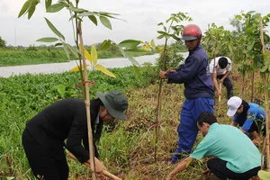 Kiểm soát môi trường chặt chẽ