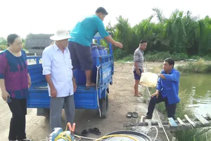 Nông dân học Bác bằng việc làm thiết thực