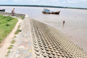 Chủ động phòng ngừa, khắc phục thiên tai