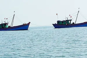 Để tàu cá vi phạm vùng biển nước ngoài, lãnh đạo thị xã La Gi bị kiểm điểm