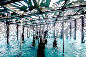 Triển lãm nghệ thuật đại dương độc đáo tại Maldives  