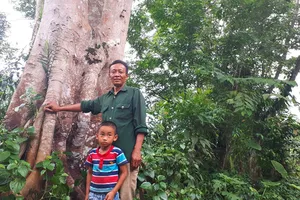 Ông Lê Văn Hòe và cháu nội tại một cây cổ thụ ở vùng rừng biên giới xã Phú Gia