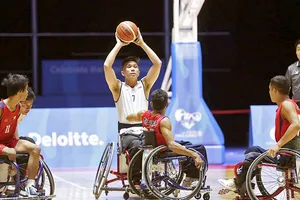 Đấu trường nhân văn