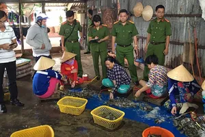 120 trường hợp vi phạm  tôm chứa tạp chất