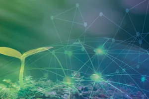 Kỳ vọng Nông nghiệp số   