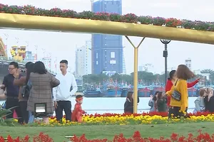 Du khách ấn tượng mạnh với đường hoa Đà Nẵng 2019