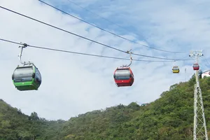 Cáp treo Vũng Tàu