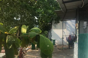 Người dân khó có thể làm thủ tục tách thửa