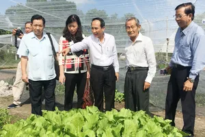 Hàng năm, UBMTTQVN TPHCM tổ chức đoàn khảo sát, kiểm tra an toàn thực phẩm  trong sản xuất nông nghiệp