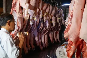 Lực lượng chức năng kiểm tra thịt heo trước khi đưa vào chợ đầu mối Hóc Môn. Ảnh: HOÀNG HÙNG