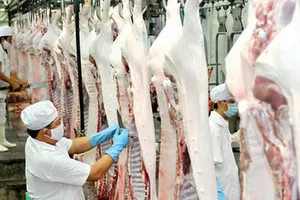 Đà Nẵng siết chặt khâu vận chuyển và giết mổ heo