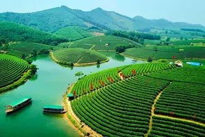  Saigontourist hỗ trợ phát triển sâu rộng du lịch Nghệ An