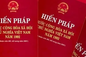 Tổng kết Chiến lược xây dựng và hoàn thiện hệ thống pháp luật Việt Nam