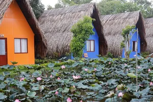 Vĩnh Long khai trương Làng du lịch sinh thái Hoàng Hảo 