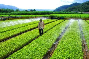 Đề xuất miễn thuế sử dụng đất nông nghiệp đến năm 2030