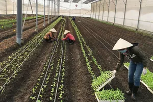 Sản xuất nông nghiệp hữu cơ đầu tư chi phí nhiều  nên giá thành cao khiến người tiêu dùng còn e ngại