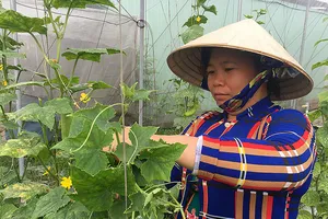 Nhờ hỗ trợ chính sách lãi vay, nhiều doanh nghiệp nông nghiệp  trên địa bàn TPHCM tiếp cận được nguồn vốn thuận lợi