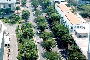 Để thành phố được xanh hóa