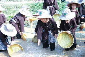 Dragon Farm trình làng