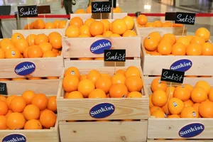 Cam navel được trưng bày ở buổi ra mắt tại Vạn Hạnh Mall, TPHCM 