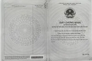 Thông tin về dự án Singa City quận 9, TPHCM