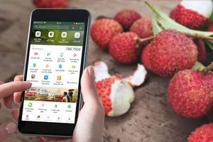 Bán lẻ thực hiện khuyến mãi, kích cầu tiêu dùng