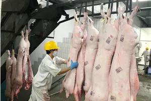 Hệ thống siêu thị đẩy mạnh cung ứng thịt heo,  góp phần bình ổn thị trường tiêu dùng