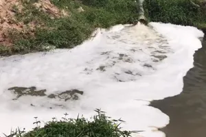 Bình Dương phạt nhiều doanh nghiệp xả chất thải ra suối