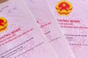 Bà Rịa - Vũng Tàu: Phát hiện nhiều giấy chứng nhận quyền sử dụng đất giả